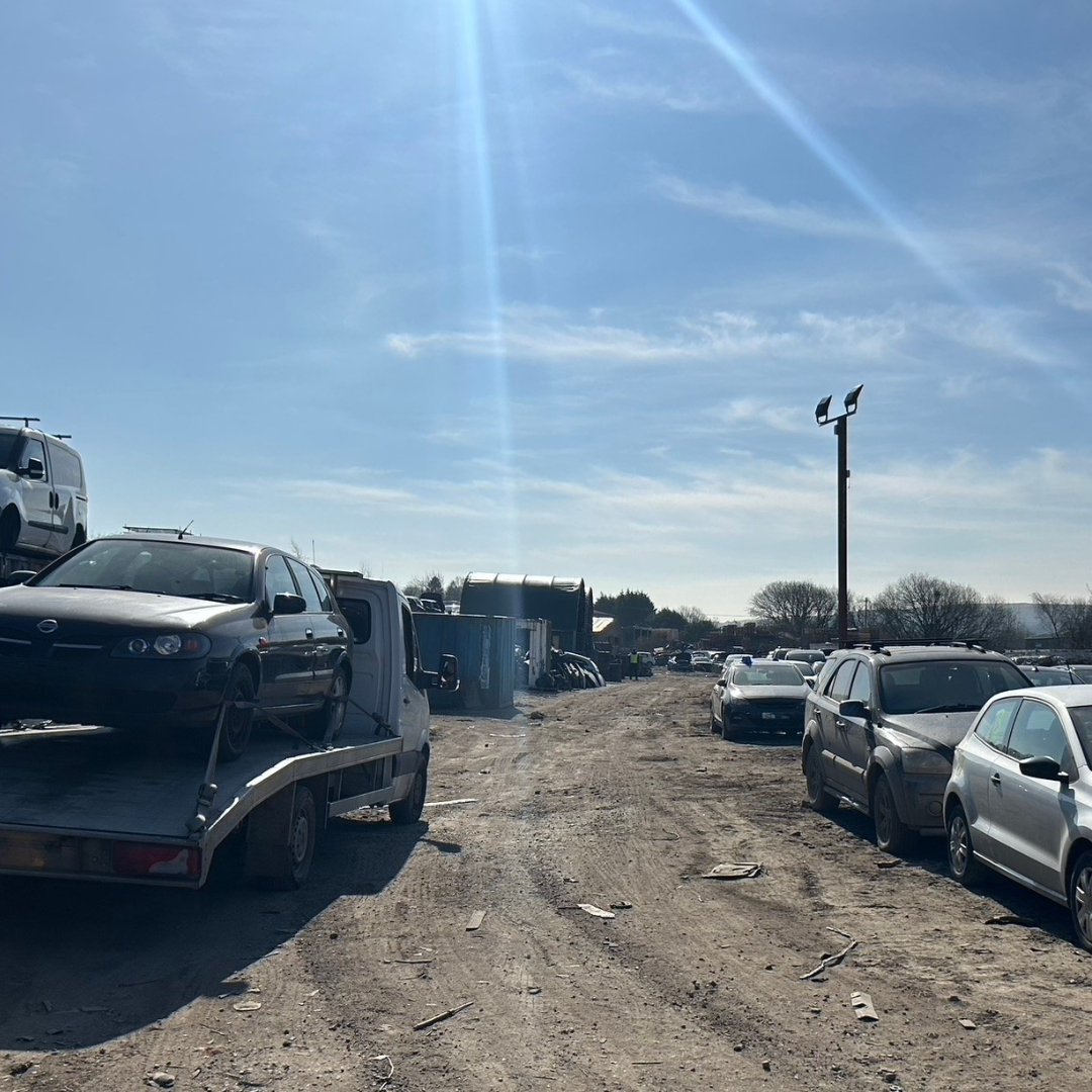 scrap car collection summer