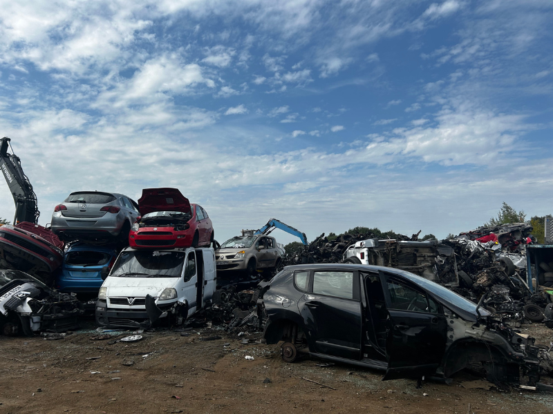 Scrap car pile at Scrap Local