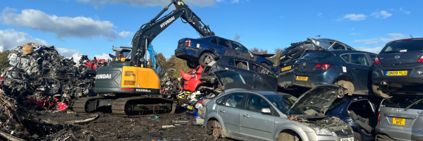 Scrap Local's scrapyard