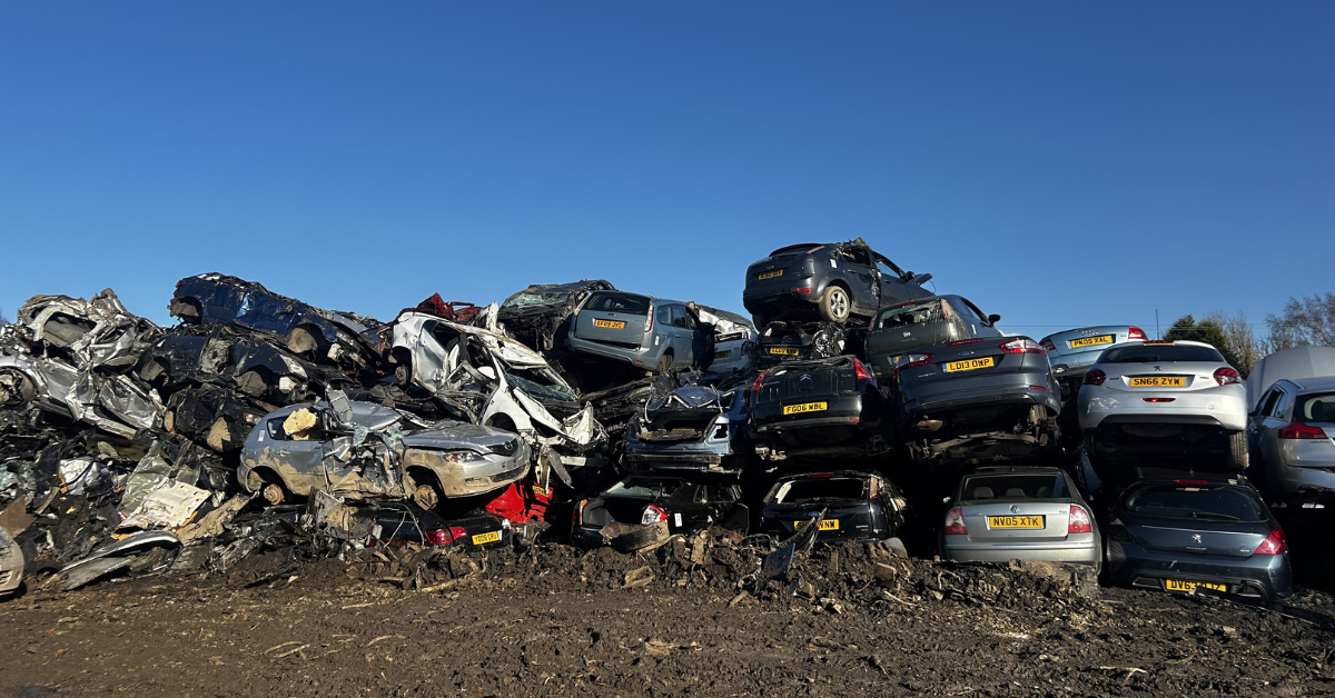 scrap cars at Scrap Local
